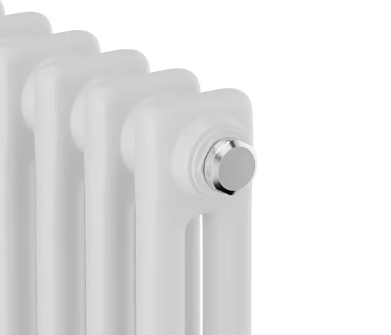 Стальной трубчатый радиатор Royal Thermo Insignia C2180 - 04 секц.