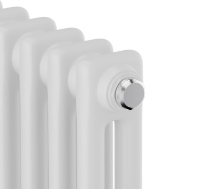 Стальной трубчатый радиатор Royal Thermo Insignia C2180 - 10 секц.